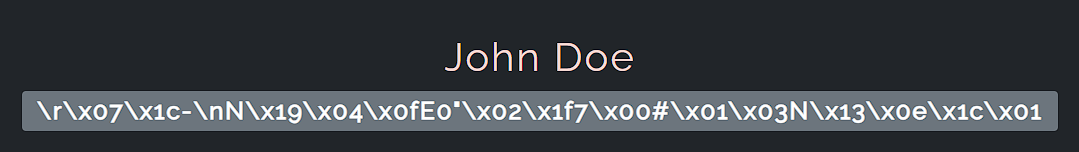 John Doe's n00bz CTF profile